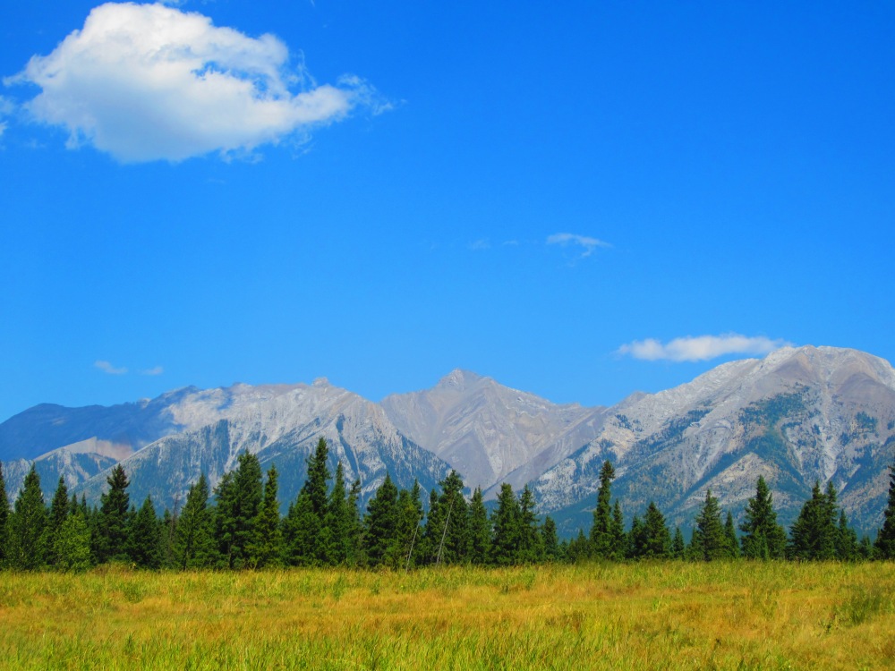 What Can You Do in Canmore, Alberta - when you are injured?  (6/6)